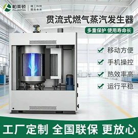 蒸汽发生器;燃气锅炉