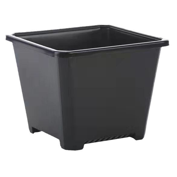 white black square flowerpot flower-shaped