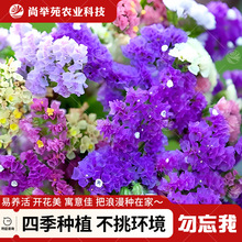 ҷNļ׷N̨҃^pֲ󻨻ܷNӶл