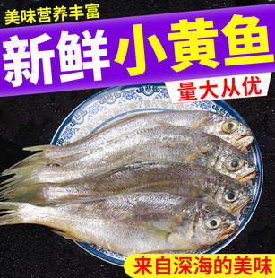 �|��Ұ���S���~350g����������rС�S�~�r���ك����r�S�~���rˮ�a