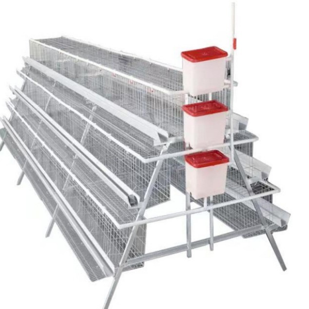 Jaula doméstica equipo de cría de gallinas ponedoras de tres capas escalón jaula de huevos galvanizado en frío en caliente agua potable automática limpieza automática de estiércol image 6