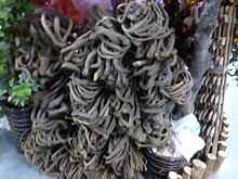 ���� �Ř���   �Ҿ��b����� �Ϙ���ɽ����ڻ�ˇ�� �ɻ����[��