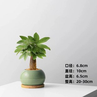 �lؔ�主�F�񲽲��ߺ�Ԣ����������ȩ�҃ȾGֲ�߶������k���Ҳ���