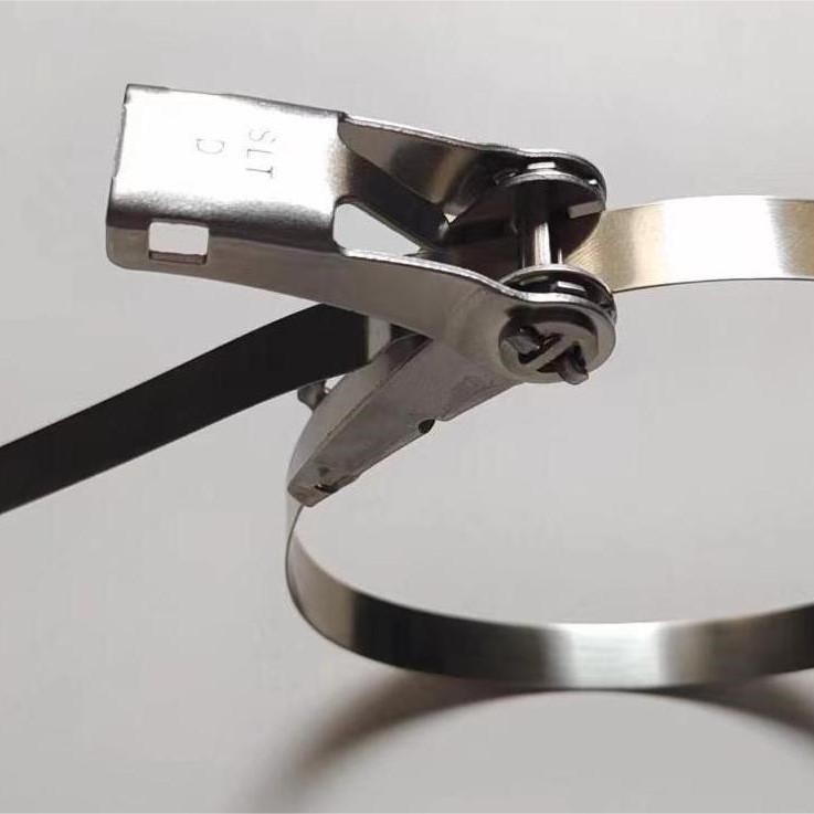 厂家直供304  万能扣不锈钢扎带   自锁式不锈钢扎带  10*500mm