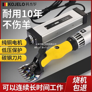 ���M��2100W�����¿�oˢ�͉�늄���ë������Ӽ���ë늼���