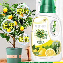 柠檬树营养液花肥治叶子发黄施肥盆栽香水柠檬树肥料肥土