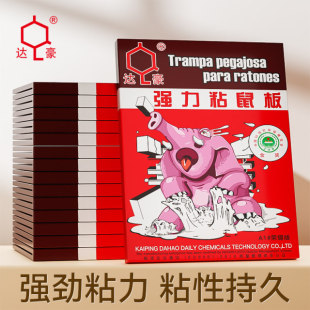�_������ճ����ճ����zճ�������N�粶���׽���S��ֱ�N���l
