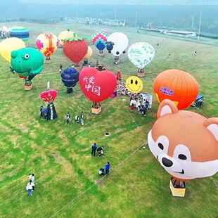 Inflatable Cartoon Model Animal Large Outdoor Shopping Mall Scenic Spot Theme Activity Exhibition Static Ball Hot Air Balloon
