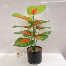 �羳���滨�����[����ˮ�^������Gֲ�ٻ�ֲ��٘����Ը߷���