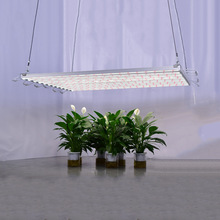 ledֲL~ȫVҰůtֲa  grow light