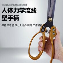 ��ë�����քӼ���ë�ļ�����ë���ü����ߏ����ù�ë������ë��