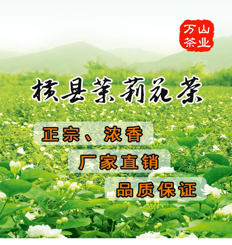 3474484085_1802723962_副本