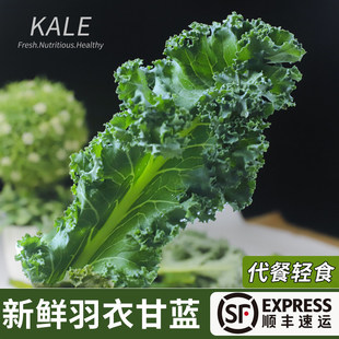 ���¸��{���r�߲�ʳ����S���]kaleե֭���Ϳ�Ƭ�pʳ����ɳ���߲�