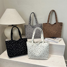 2026���e�r�а���insŮ�����Y���������μ��ͨ�ڰٴ�Ҹ������