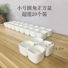 迷你小号圆角白瓷多肉植物花盆简约家用装饰陶瓷四方盆器