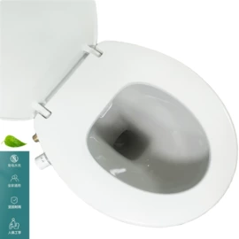 智能马桶盖;普通马桶盖;马桶喷枪