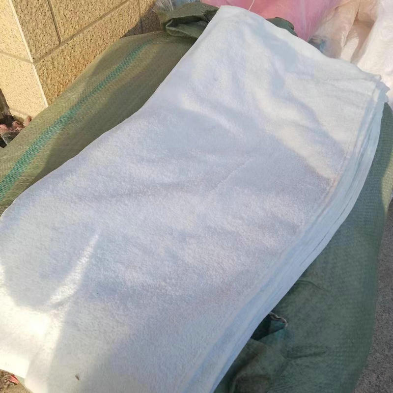 b8eac283-bd98-4ac0-99ad-0785aa