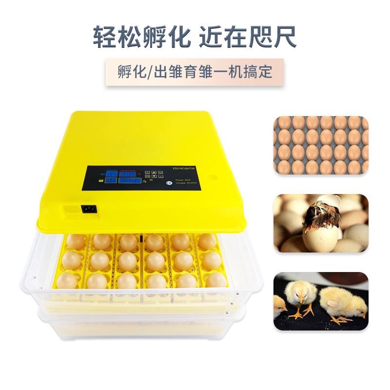 72 unidades inteligente temperatura constante incubadora rutina huevo incubadora automática 312 piezas pájaro huevo incubadora