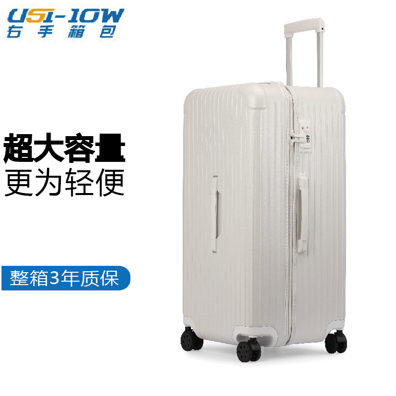 화이트