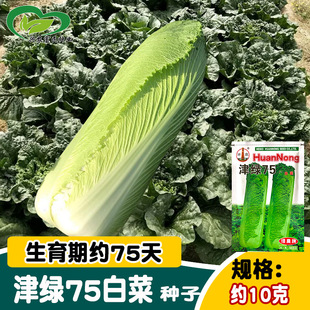 �h�r��G75�ײ˷N�� ���wֱͲ�����~�ײ˷N�� �ˈ@�r���߲���