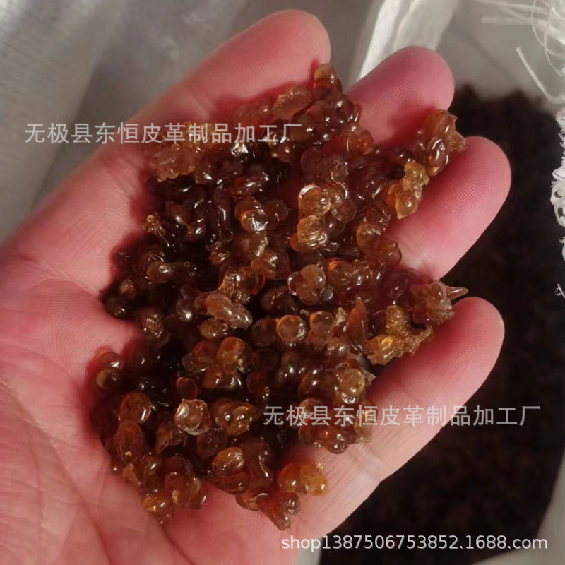 工业胶 牛皮二层下脚料 明胶粘度3.5的无极县源头厂家