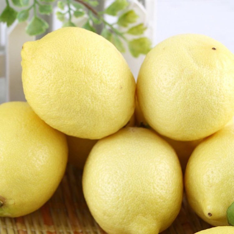 lemon Sichuan Province Anyue Yellow Lemon fresh fruit Specifications fruit fresh snacks