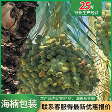 �羳Ҭ�����^���ڼ��ܾW�۴� Ҭ��͸����B���x�W�� Ҭ�����S��