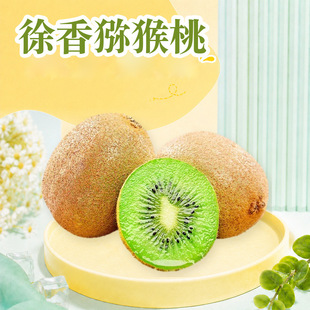 �����������J���� һ�����l12/24ö�����֭�����G�Ĺ����rˮ��