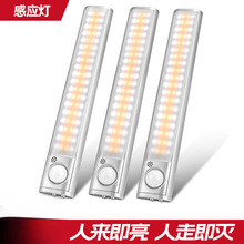 �羳���N ����Б�Сҹ���������w�Б���������W����������