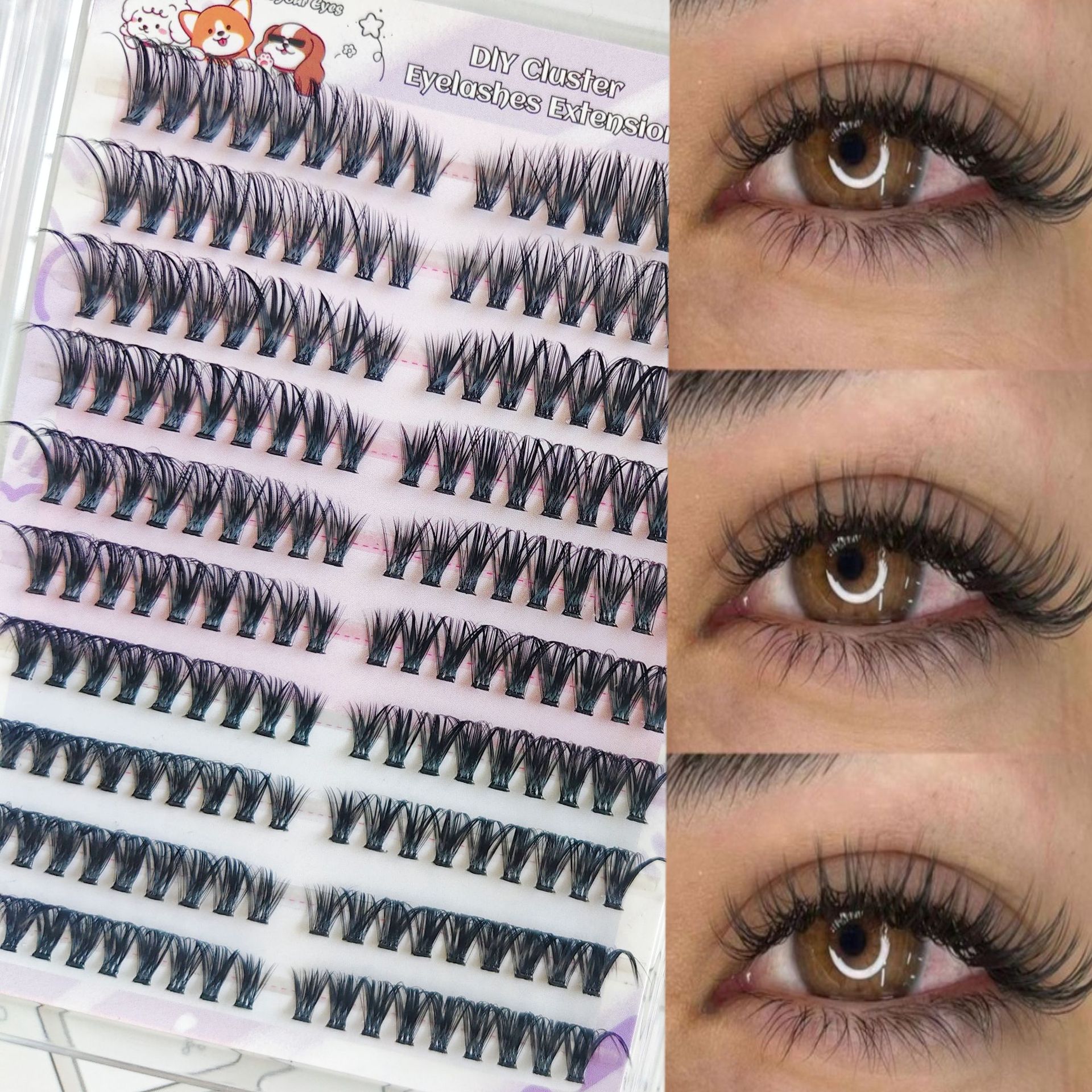 Las pestañas falsas transfronterizas proporcionan pestañas falsas de gran capacidad sin pegamento.