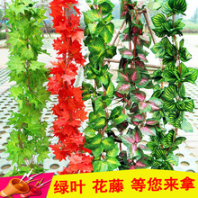 �������w�ٗl���� �ܵ�����b����� �پG�~�ٗl�b� �a��؛Դ