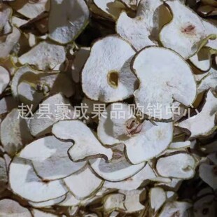 �ӱ��w��ѩ���ѩ��Ƭɢ�b�������ѩ�涡�ɫ������ă��gӭ�xُ