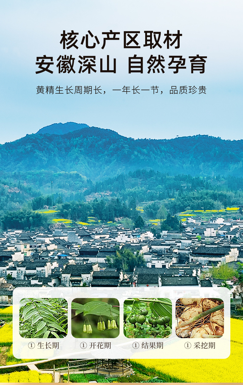 Ready to Eat Nine Steam Nine Sun Polygonatum Root Slices 200g Jar Traditional Herbal Tonic key features