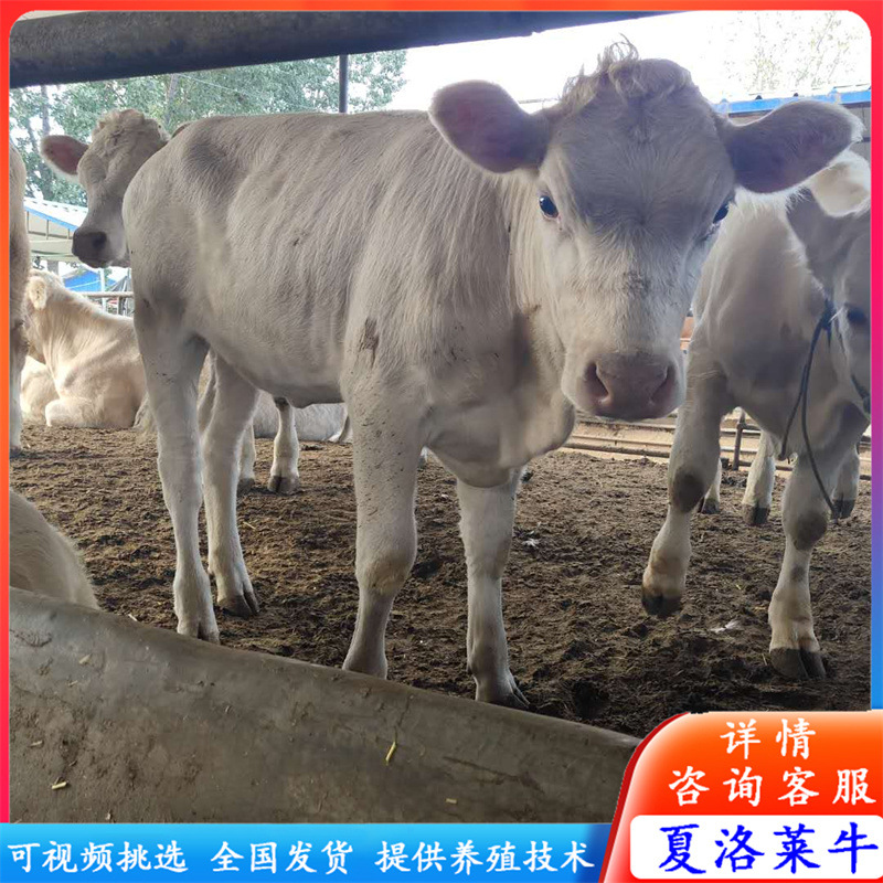 微信圖片_20200905233434.jpg