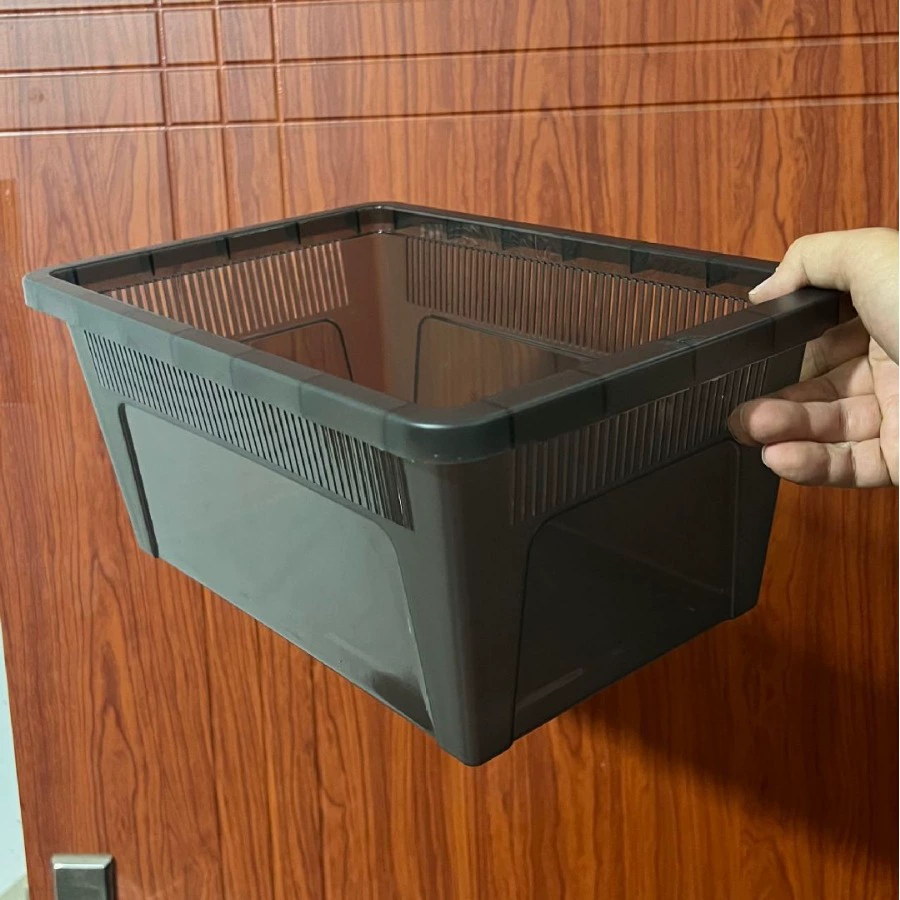 R-рога Гигантский дворцовый ящик змеи без крышки Большой шкатулка без крышки Универсальный шкаф