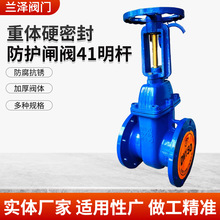 ���w�������U���o�l�y��ī�T�F���~�ܷ�Z41T-16Q�����ԁ�ˮ�ܵ�