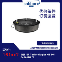 ��IEP Technologies GE DN 0450�����T