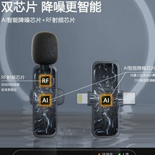 跨境一拖二领夹麦克风户外手机直播高清录音降噪麦克风无线话筒