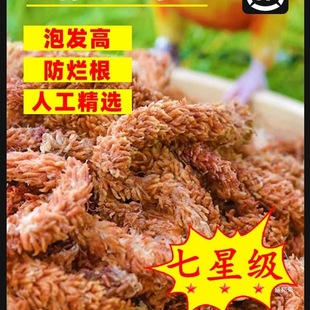 �����M��ˮ̦ëë�xˮ̦��̦�\�m���I�B���������߉|�ĺ����m����