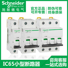 Schneider늚IC65N_Pÿ_A9C1P~4PС͔·՚_P