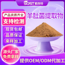 羊肚菌多糖 羊肚菌提取物10:1 浓缩菌粉  源头工厂现货 可寄样品