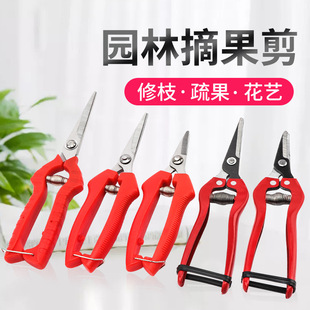 �ޘ�֦�������P䓻��@ˇ�����r������廨��ժ����֦���b
