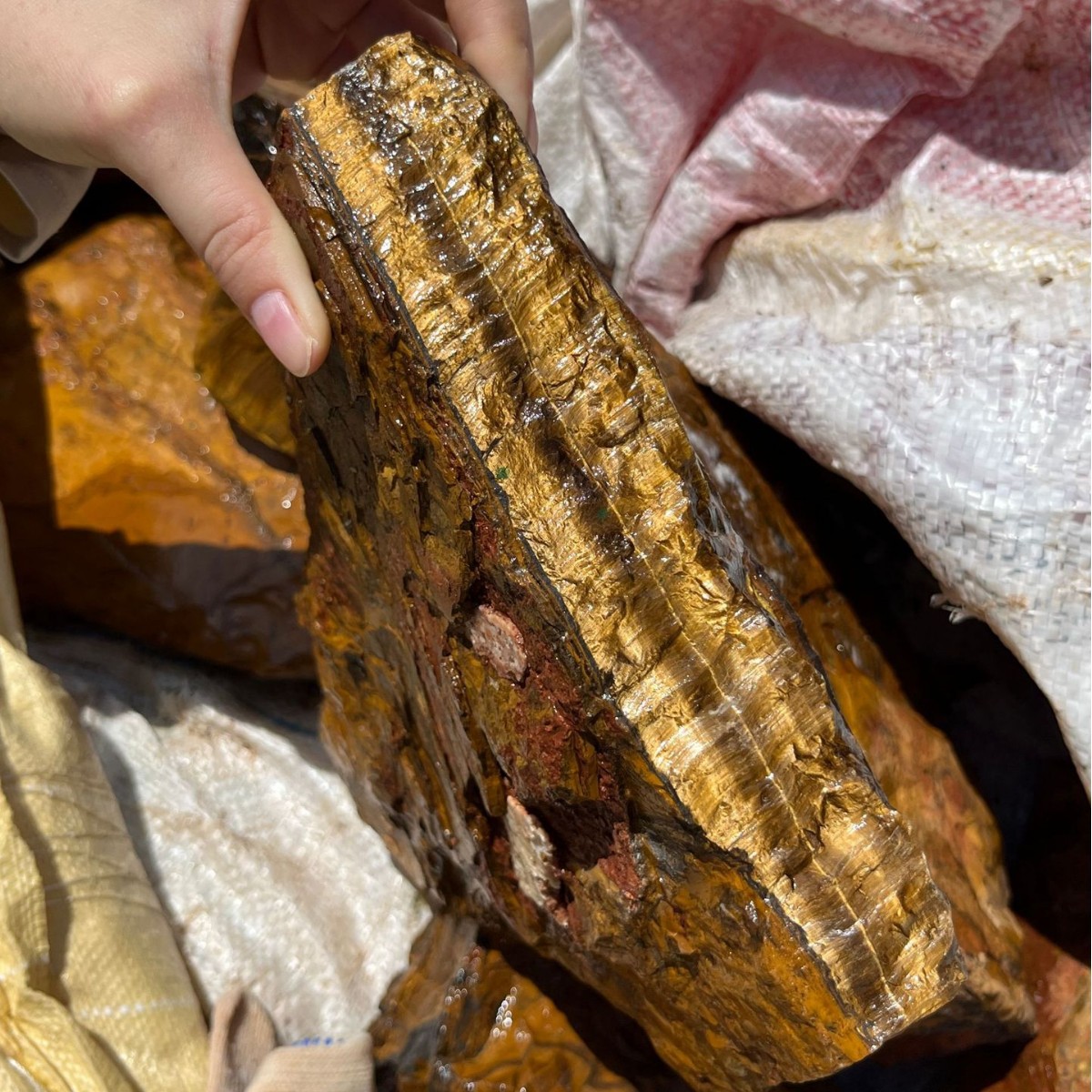 南非金虎眼石原石矿标本鹰眼石香薰扩香石木变石虎睛石手镯毛料