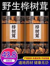 桦树茸俄罗斯进口旗舰店的功效黑金颗粒长白山野生白桦树茸茶包装