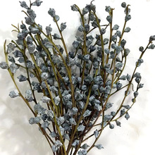 尤加利果云南干花自然植物真花家居装饰艺术干果dried eucalyptus