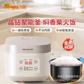 九.阳电饭煲F-30FZ619家用3升多功能电饭锅蒸煮饭小型烹饪微压白