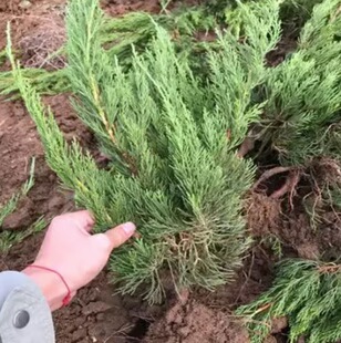 һ�����l���������ؘ���С��������u���؂Ȱ���K�ذ،����ɘ���