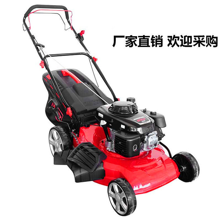 质优价廉公园草坪修剪机170F动力手推式割草机汽油四冲程除草机