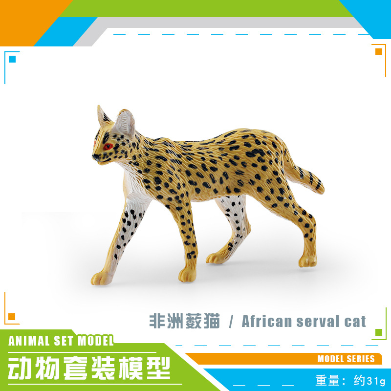 PL127-2501 gato africano 31G