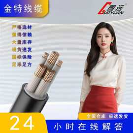 电线电缆纯铜ZR-YJV2芯10～300平无氧铜架空电力电缆线电力工程